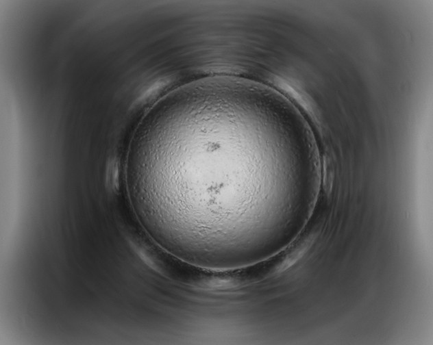 X0000087380157200704201251