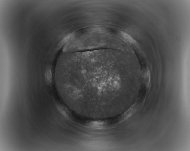 X0000087380158200704201251