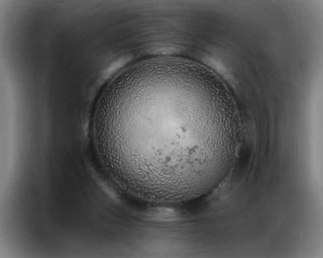 X0000087380159200704201251