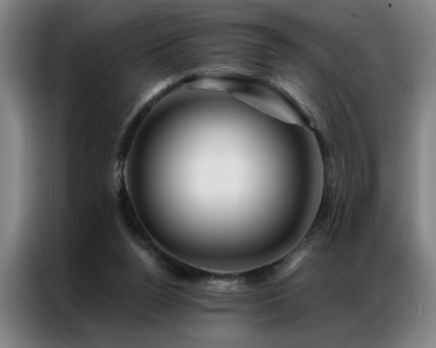 X0000087380160200704201251