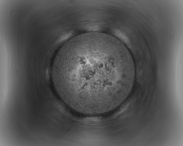 X0000087380161200704201251