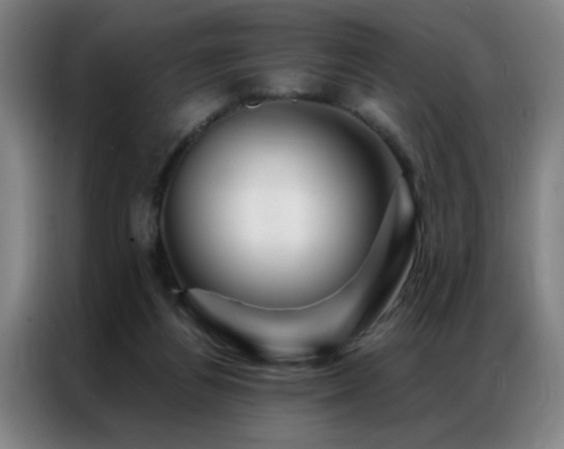 X0000087380164200704201251