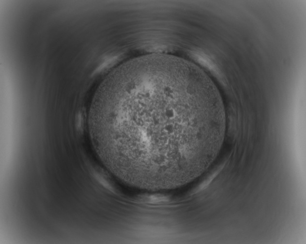 X0000087380165200704201251