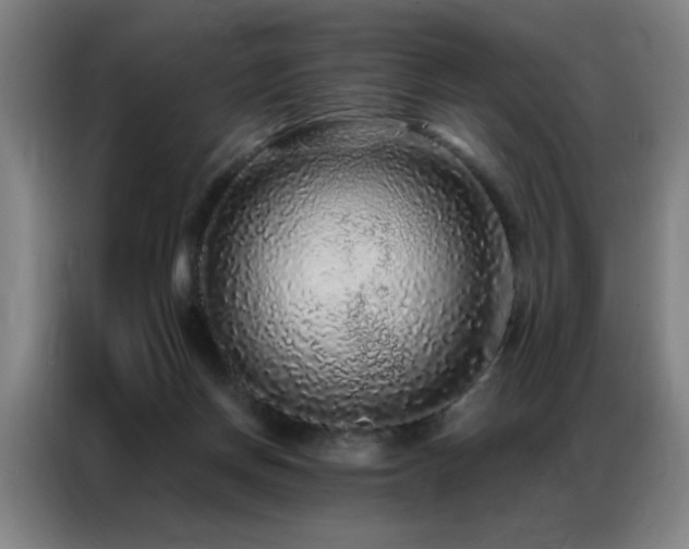 X0000087380166200704201251