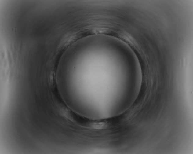 X0000087380169200704201252