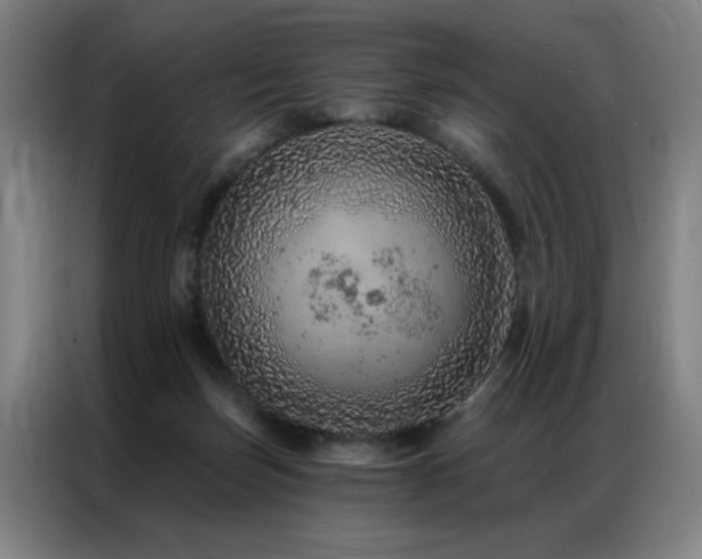 X0000087380171200704201252