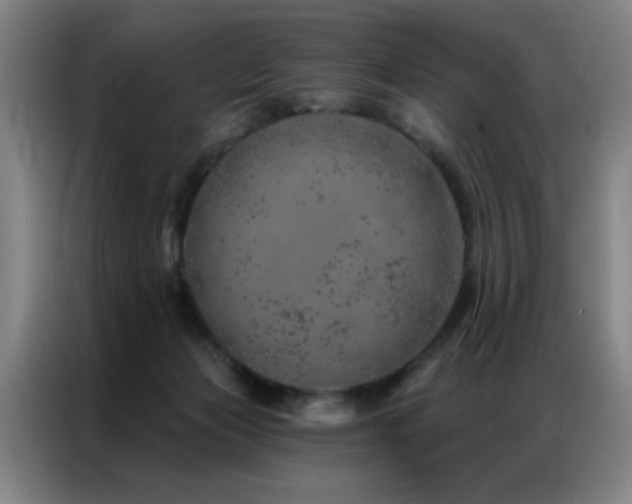 X0000087380173200704201252