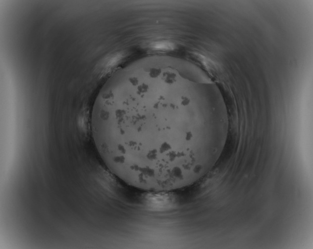 X0000087380181200704201252