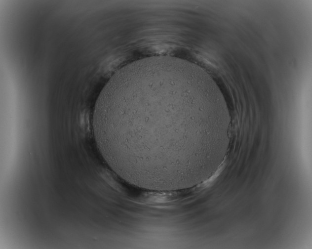 X0000087380182200704201252