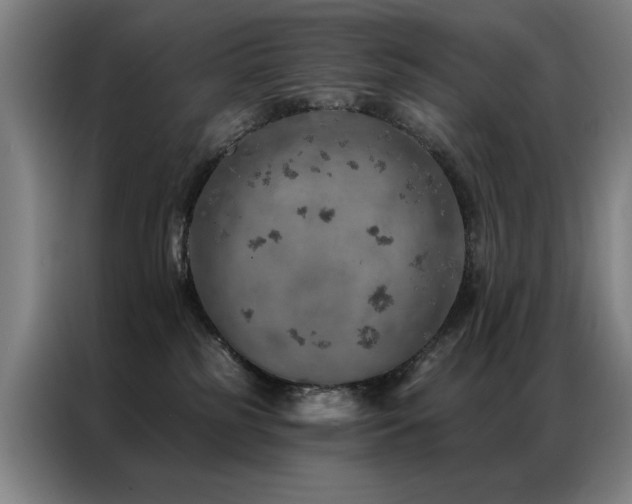 X0000087380185200704201252