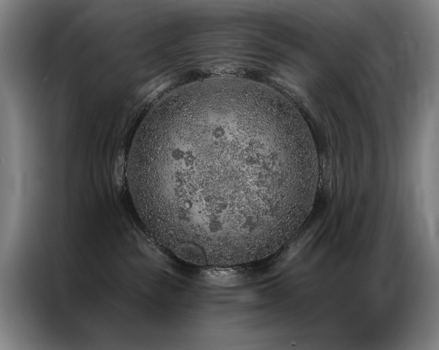 X0000087380189200704201252