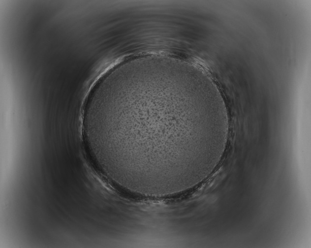 X0000087380194200704201251