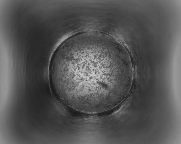 X0000087380196200704201251