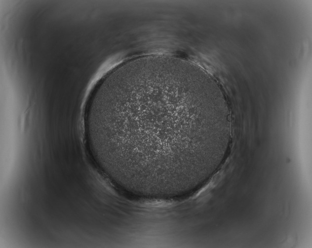 X0000087380198200704201251