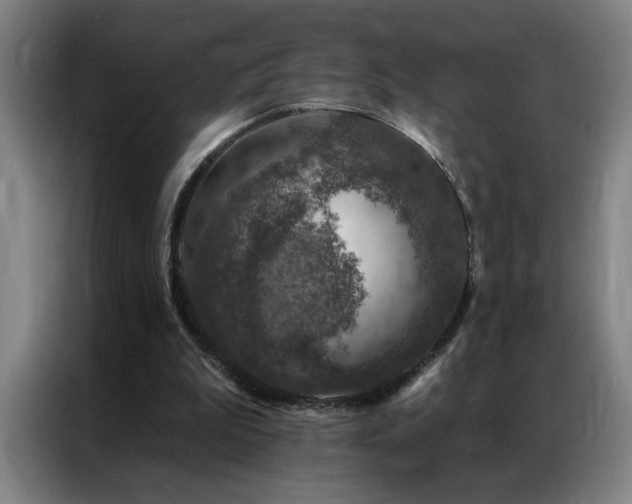 X0000087380199200704201251