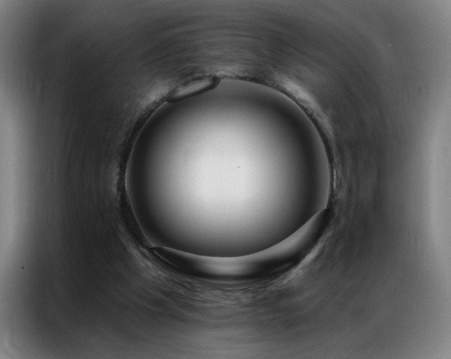 X0000087380201200704201251