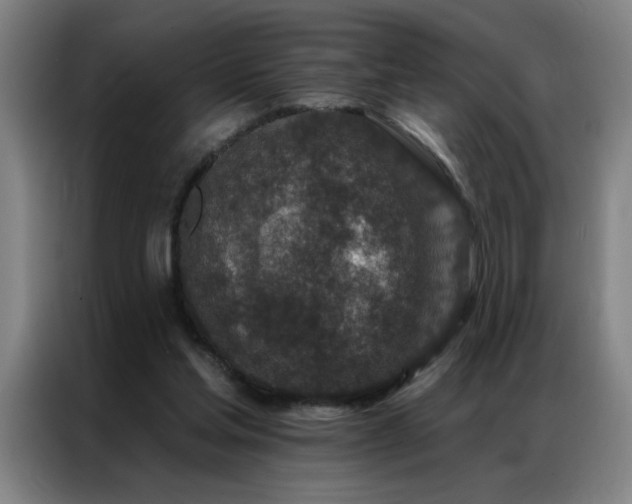 X0000087380205200704201251