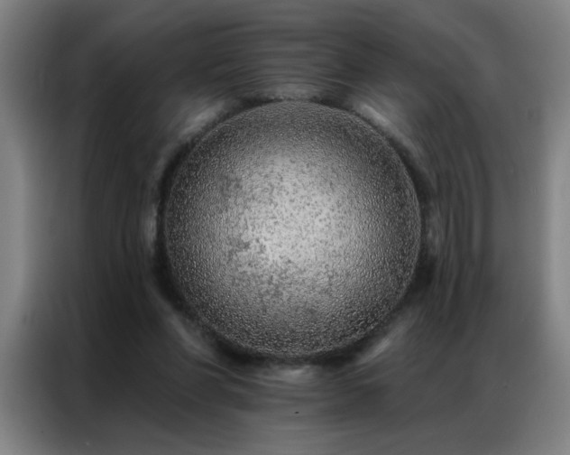 X0000087380206200704201251