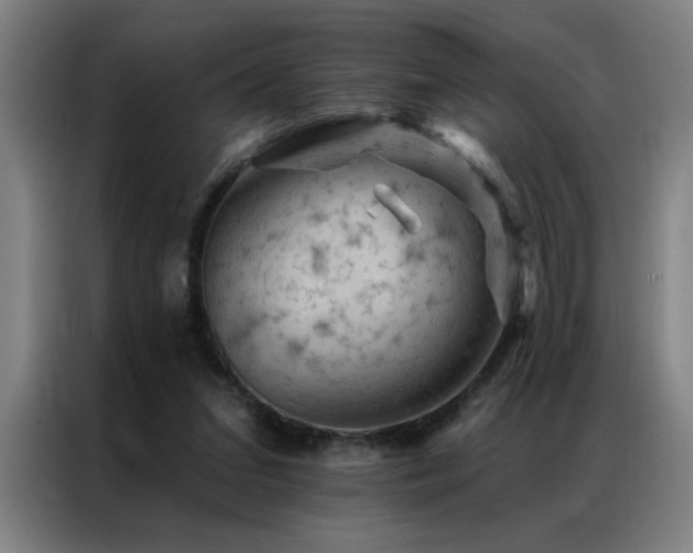 X0000087380207200704201251