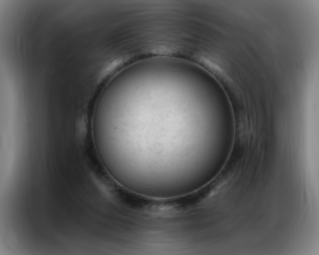 X0000087380208200704201251