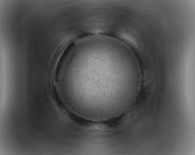 X0000087380210200704201251