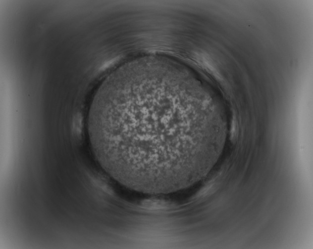 X0000087380211200704201251