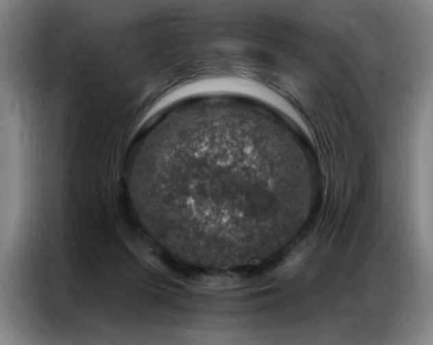 X0000087380215200704201251