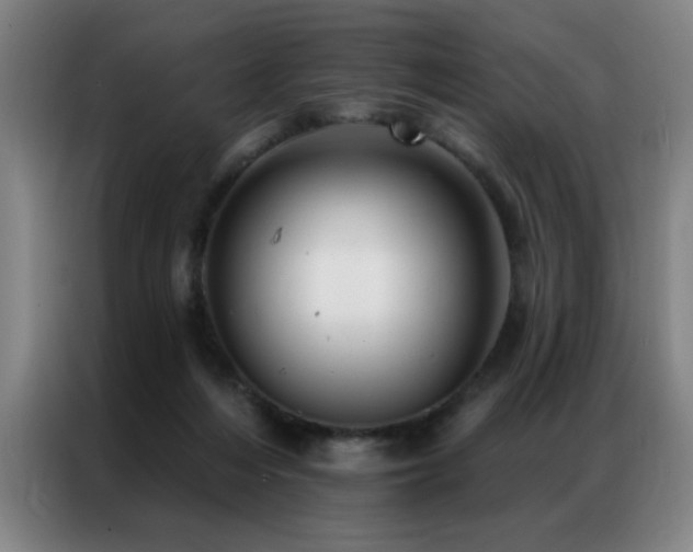 X0000087380216200704201251