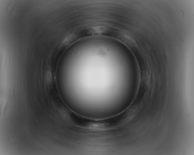 X0000087380220200704201251