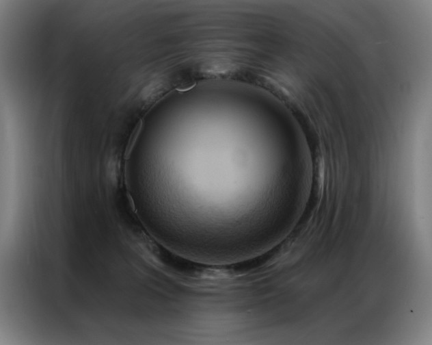 X0000087380227200704201251