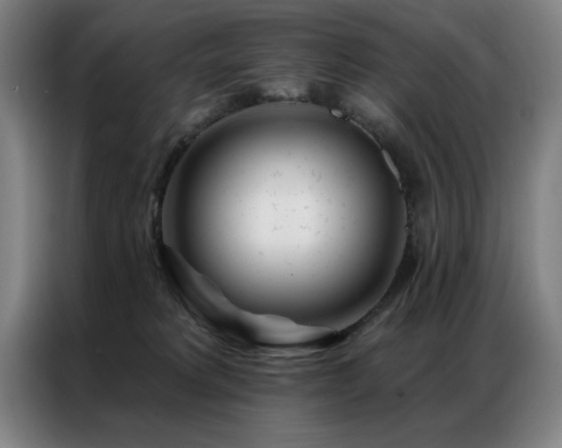 X0000087380229200704201251