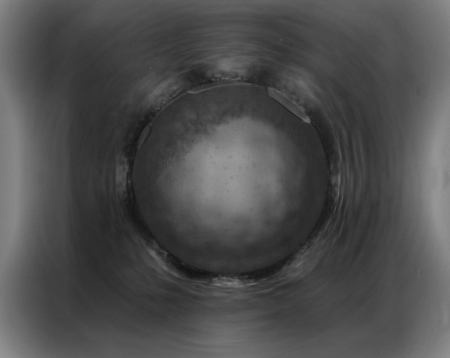 X0000087380231200704201251