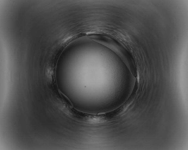 X0000087380235200704201251