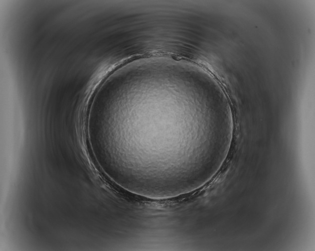 X0000087380241200704201250