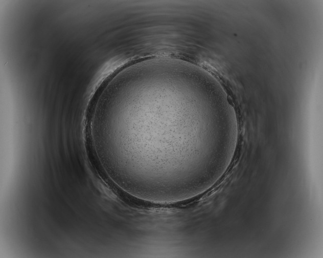 X0000087380242200704201250