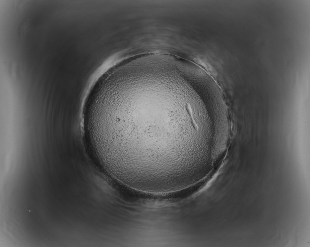 X0000087380246200704201250