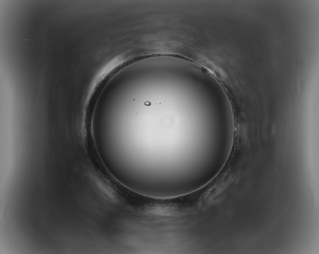 X0000087380248200704201250