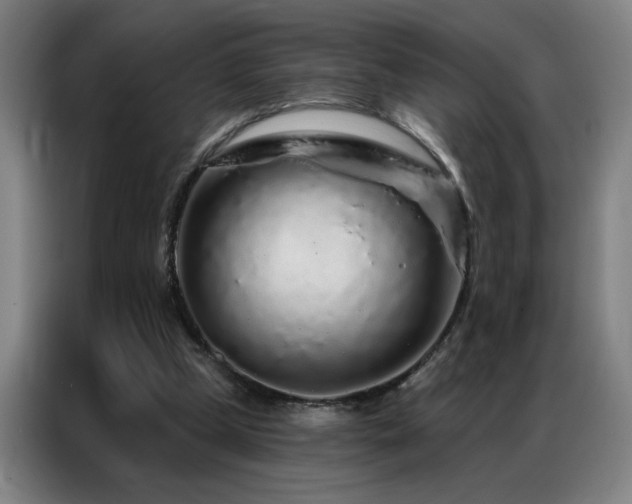 X0000087380249200704201250