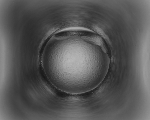 X0000087380250200704201250