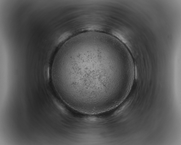 X0000087380253200704201250