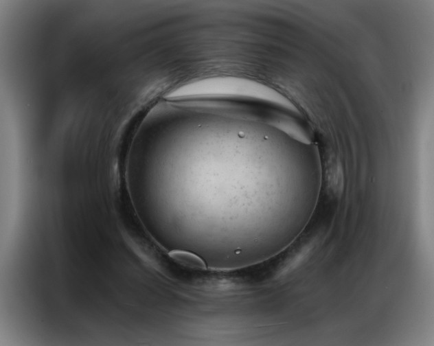 X0000087380254200704201250