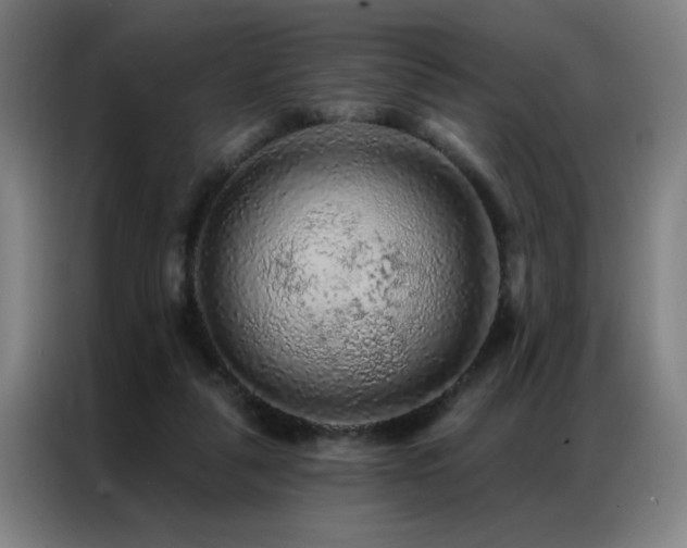 X0000087380259200704201250