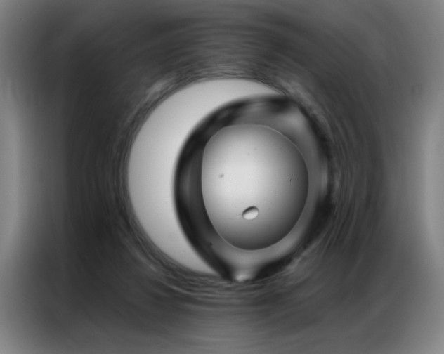 X0000087380260200704201250