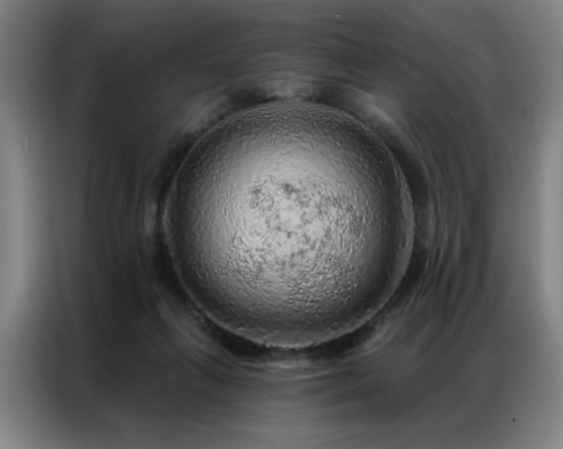 X0000087380263200704201250