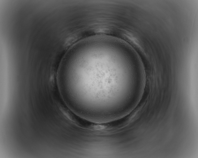 X0000087380265200704201250