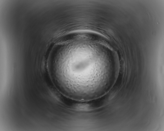 X0000087380266200704201250