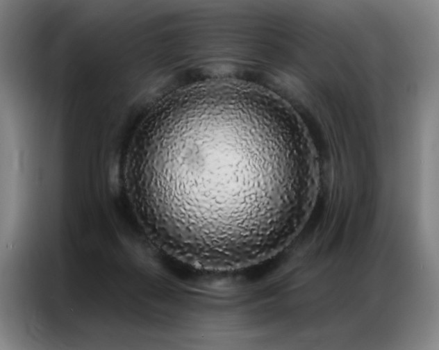 X0000087380267200704201250