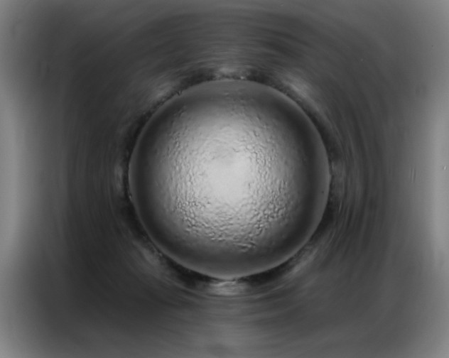 X0000087380269200704201250