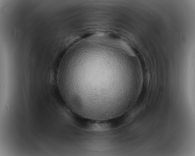 X0000087380270200704201250