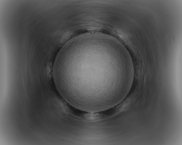 X0000087380273200704201251